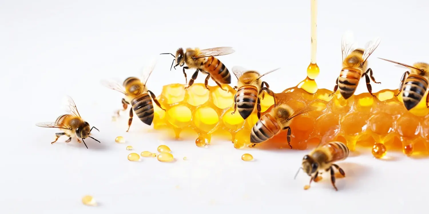 Sztuczne unasiennianie matek pszczelich